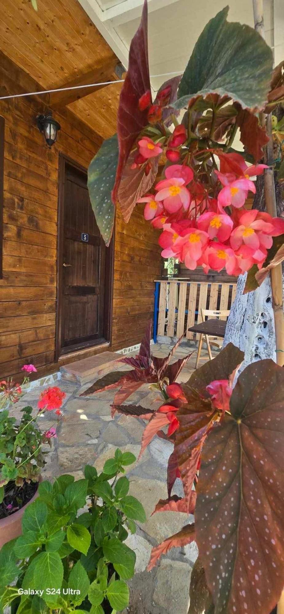 Holiwood Motel ฮีมาเรอ ภายนอก รูปภาพ